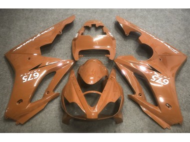 Shop Bronze Triumph Daytona Motorcycle Fairings 675 Motorcycle Fairings 06-08