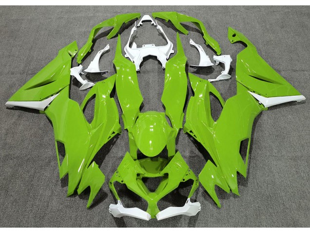 Shop Gloss Green & White Kawasaki ZX6R Motorcycle Fairings 19-20 Shop Gloss Green & White Kawasaki ZX6R Motorcycle Fairings 19-20