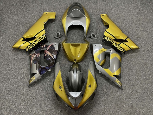 Shop Gold and Silver Kawasaki ZX6R Motorcycle Fairings 05-06 Shop Gold and Silver Kawasaki ZX6R Motorcycle Fairings 05-06
