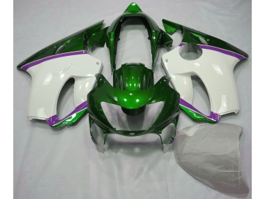 Shop Lizard Green and Purple Honda CBR600 Motorcycle Fairings F4 Motorcycle Fairings 99-00